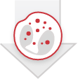 Eosinophil reduction Eosinophil reduction icon